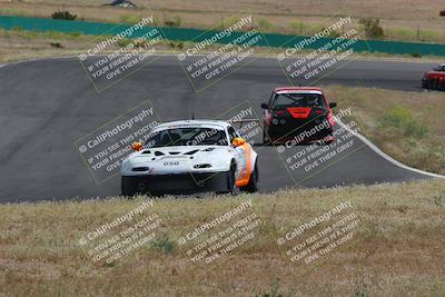 media/May-04-2024-Lucky Dog Racing (Sat) [[d39539b3f3]]/Race Pics/1015am (Turn 2)/